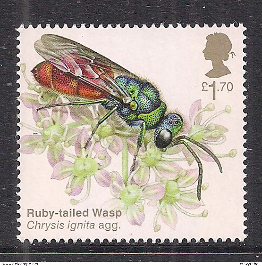GB 2020 QE2 £1.70 Brilliant Bugs Ruby Tailed Wasp SG 4433 Umm ( L1334 ) - Unused Stamps