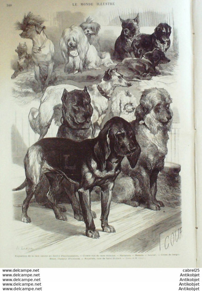 Le Monde Illustré 1873 N°842 Italie Rome Vatican Maréchal Mac Mahon Suède Roi Oscar II - 1850 - 1899