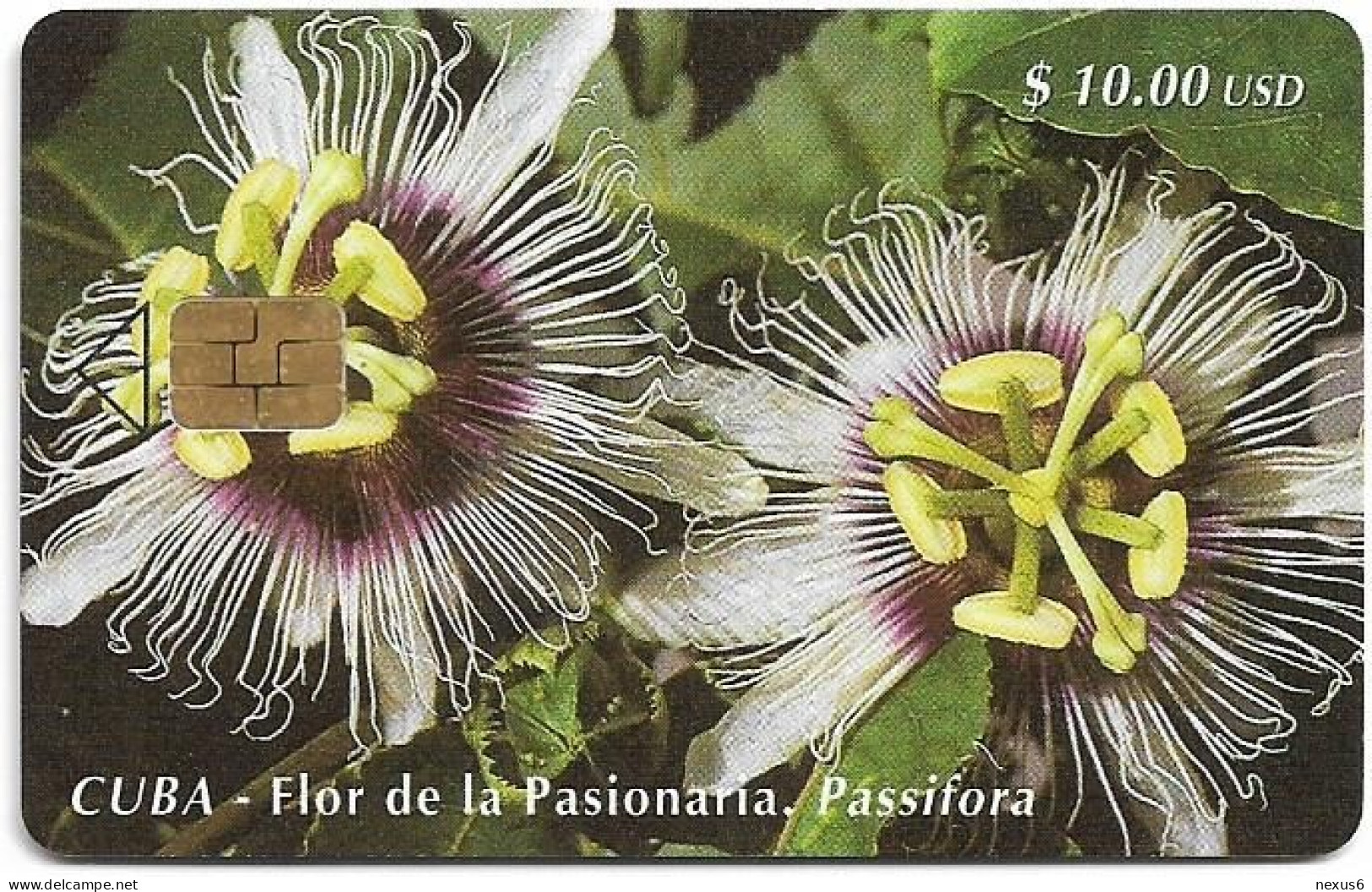 Cuba - Etecsa (Chip) - Flowers - Flor De La Pasionaria, 05.2000, 10$, 30.000ex, Used - Cuba