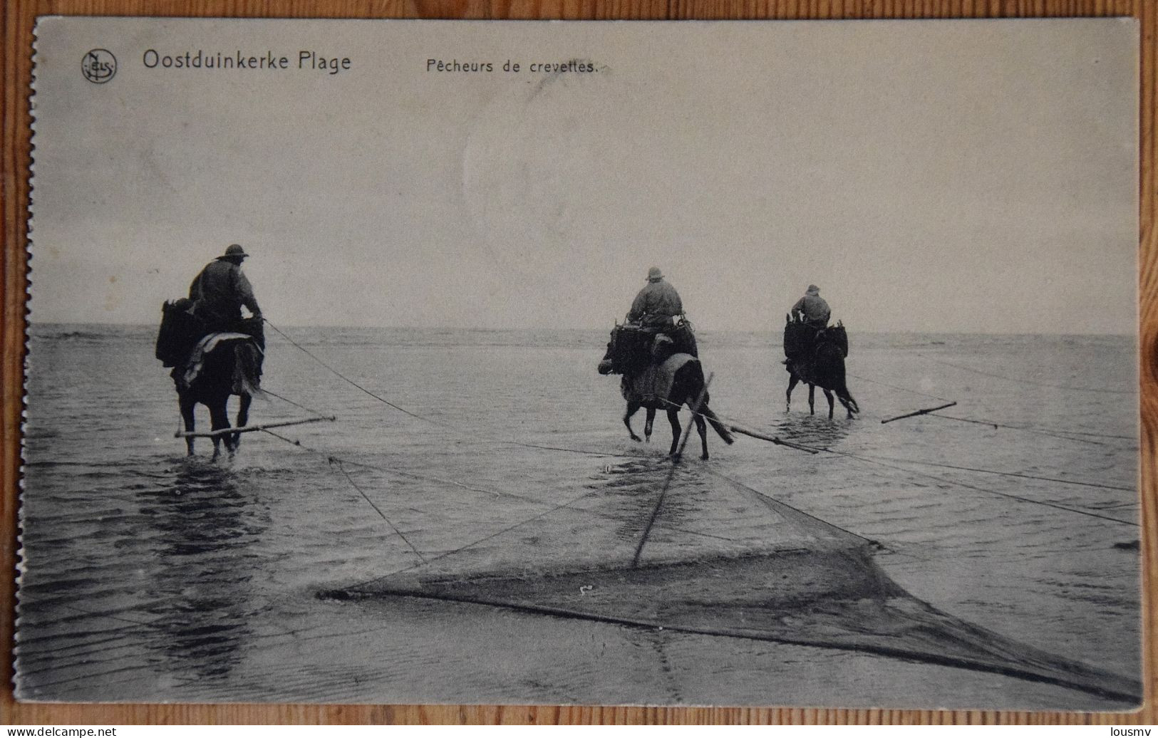 Oostduinkerke Plage - Pêcheurs De Crevettes à Cheval - Animée : Belle Animation - (n°26905) - Oostduinkerke