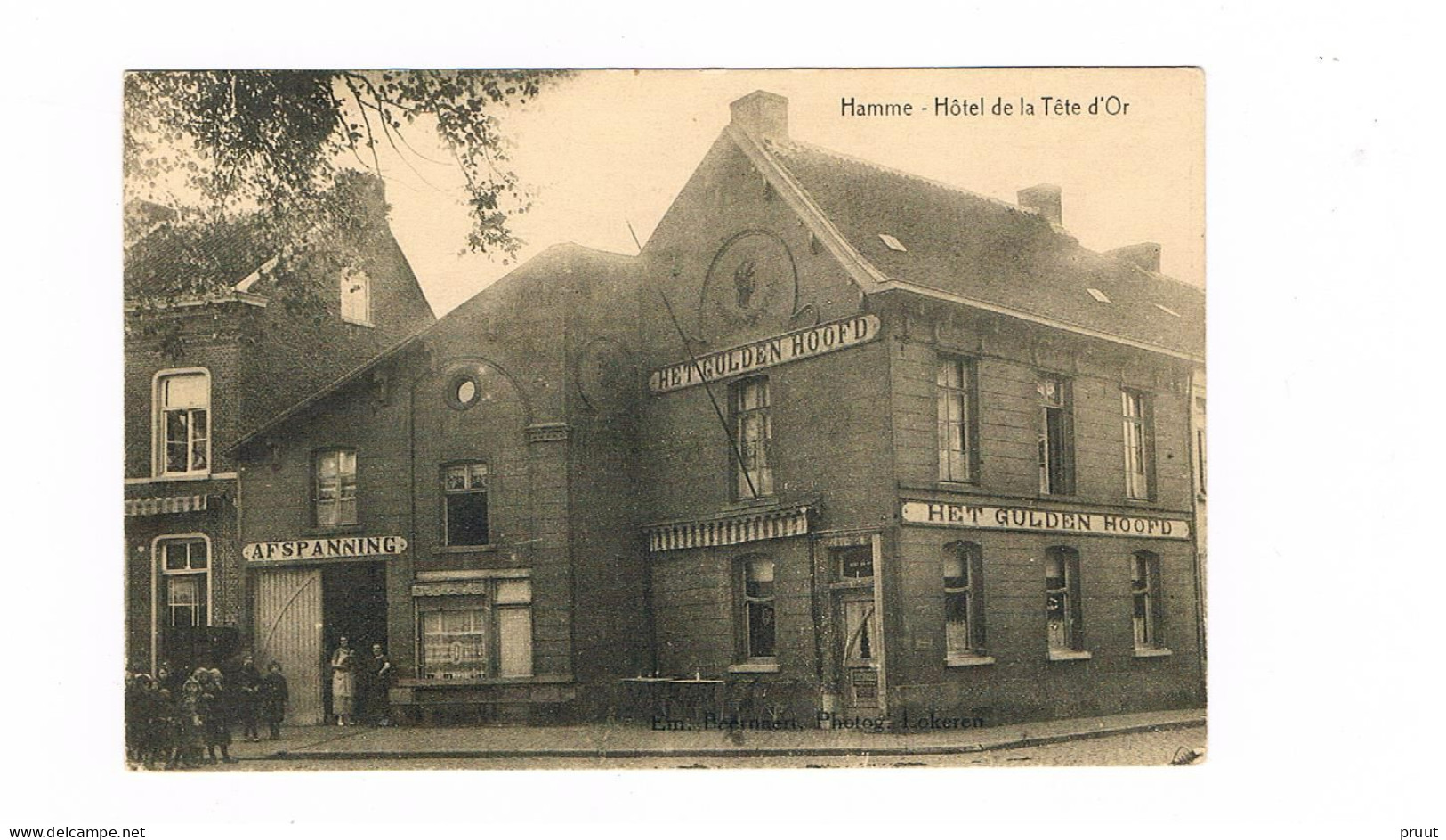 Hamme - Hôtel De La Tête D'Or - Hamme