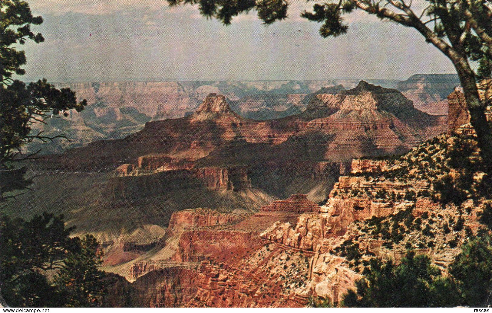 CPM - R - ETATS UNIS - USA  - ARIZONA - GRAND CANYON NATIONAL PARK - Grand Canyon