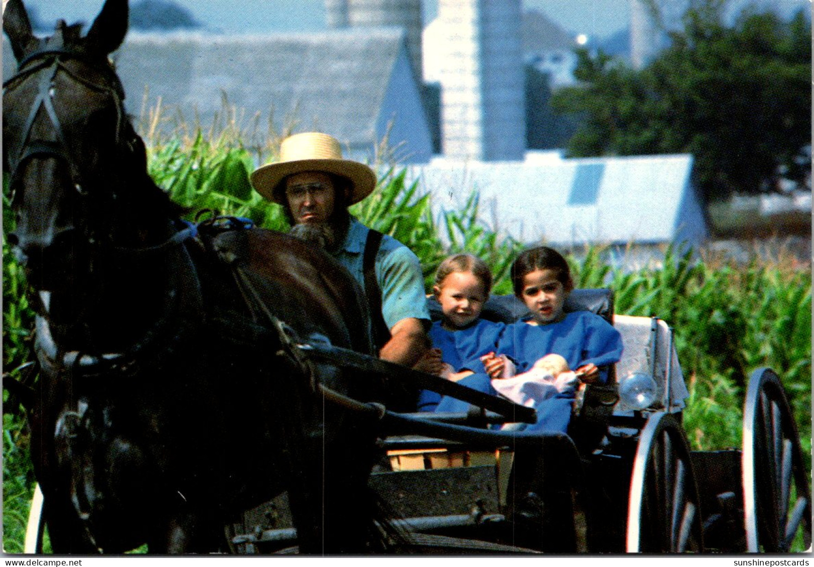 Pennsylvania Amish Country Amish Father And Two Daughters Riding In Courting Or Open Buggy - Lancaster