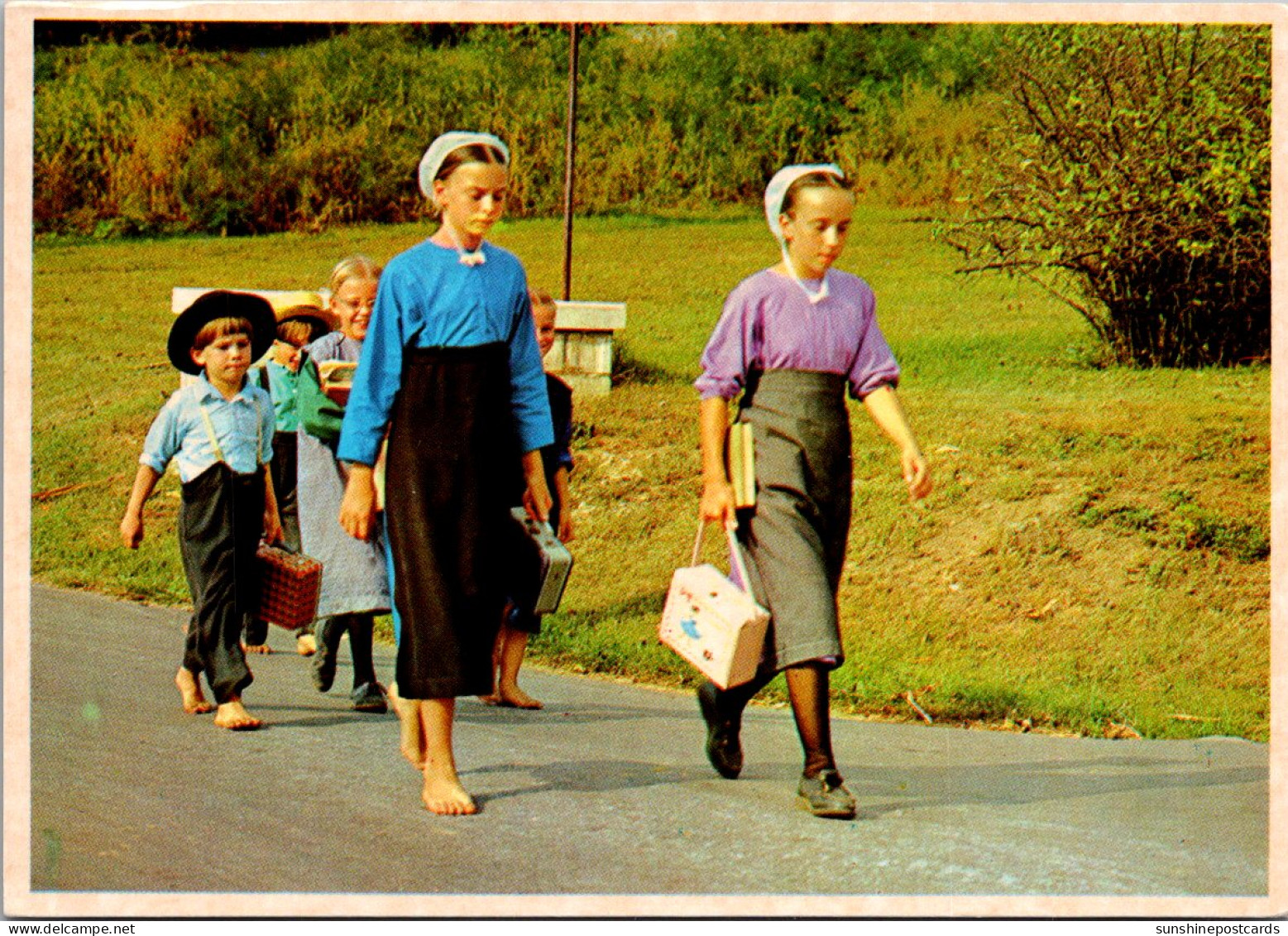 Pennsylvania Amish Country Amish Children Walking Home From School - Lancaster