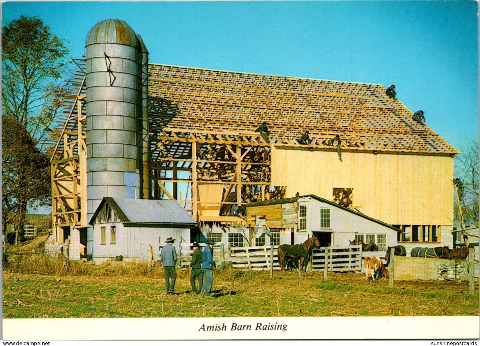 Pennsylvania Amish Country Amish Barn Raising  - Lancaster