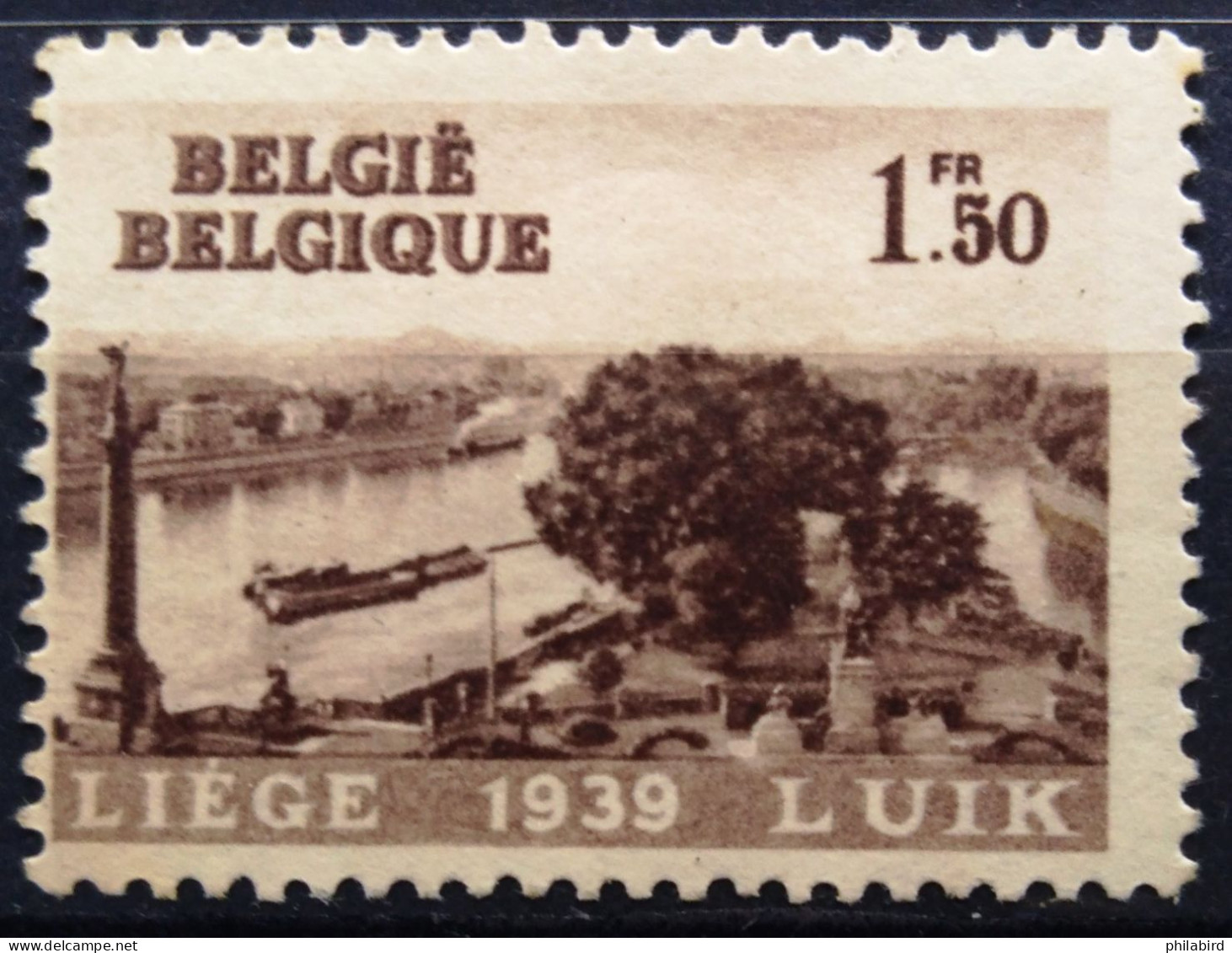 BELGIQUE                    N° 486                      NEUF* - Unused Stamps