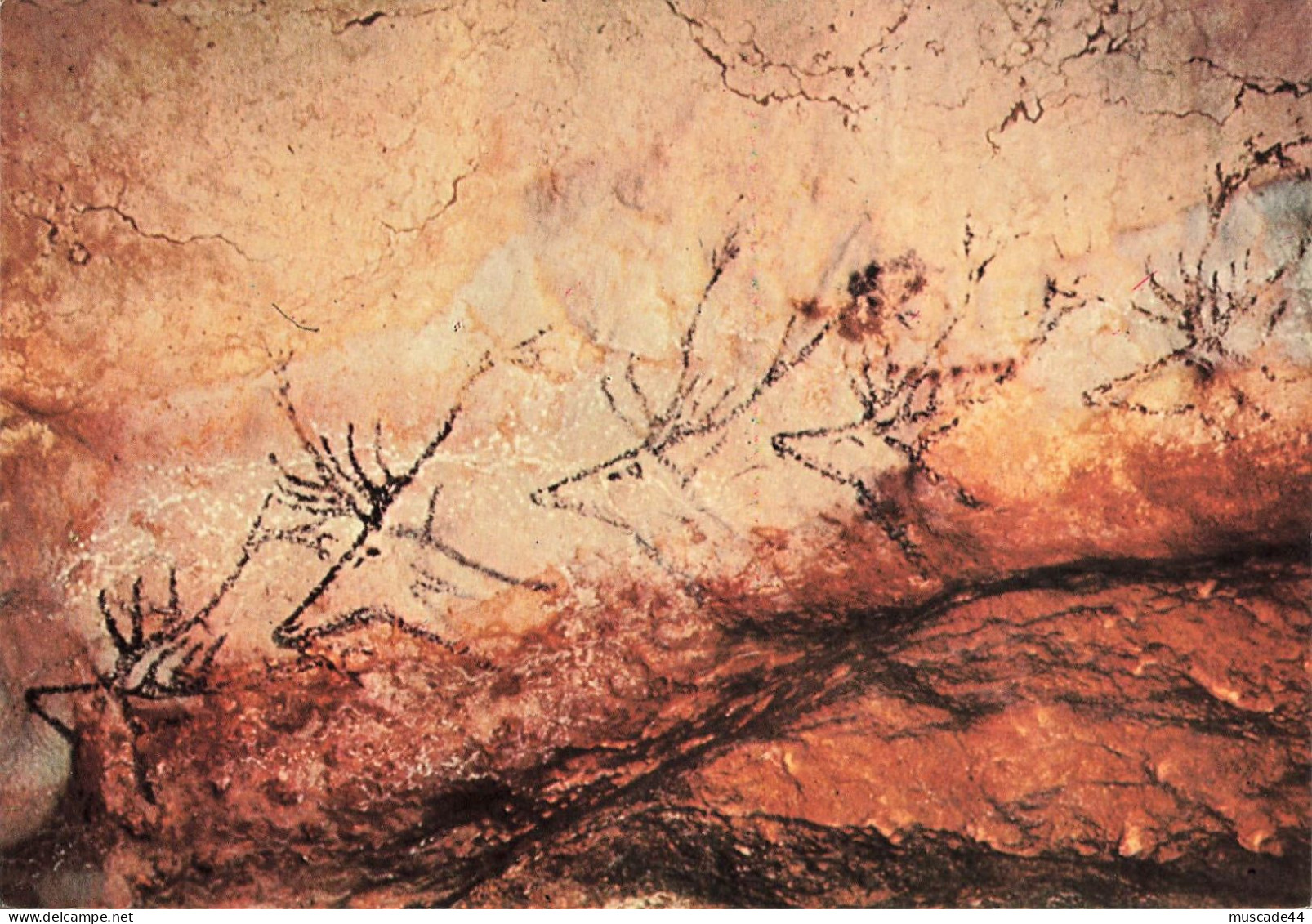 MONTIGNAC - GROTTE PREHISTORIQUE DE LASCAUX - FRISE DE CERFS SUR LA PAROI DROITE - Montignac-sur-Vézère