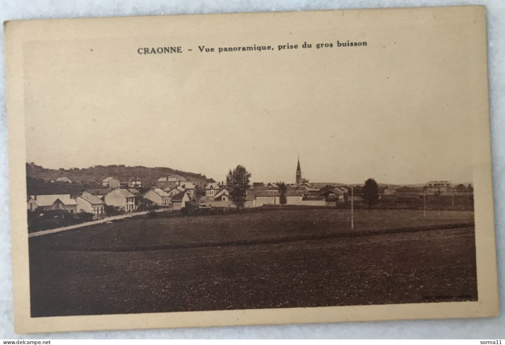 CPA CRAONNE 02 Vue Panoramique, Prise Du Gros Buisson - Craonne