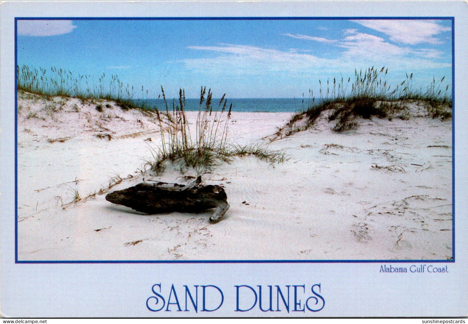 Alabama Gulf Coast Sand Dunes - Other & Unclassified