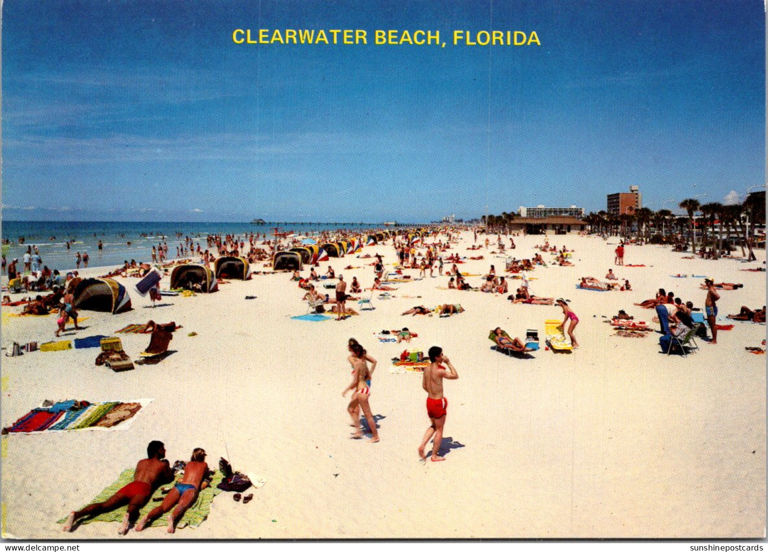 Florida Clearwater Beach Beautiful Beach Scene - Clearwater