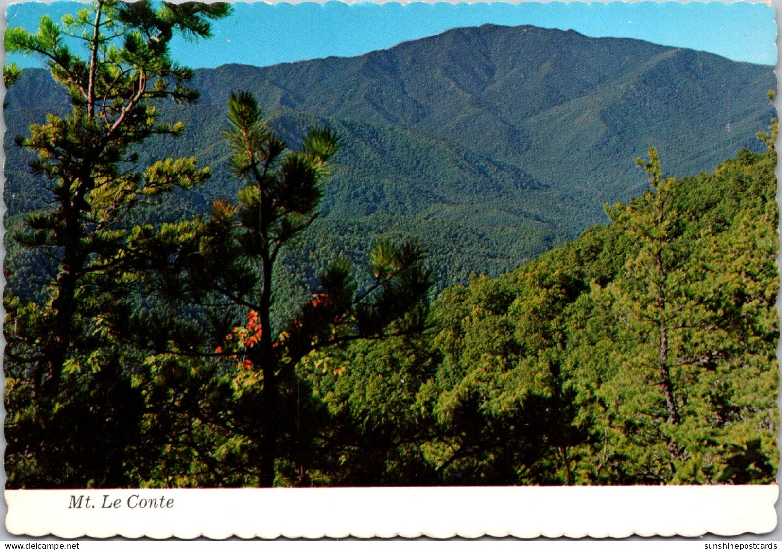 Tennessee Great Smoky Mountains National Park Mount LeConte - Smokey Mountains