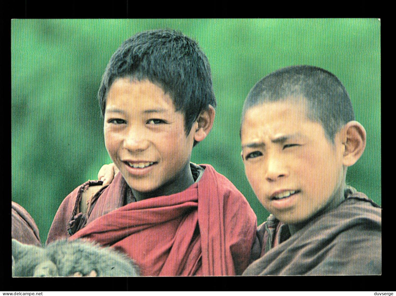 Nepal Yong Monks Of Tiksey Gompa Monastery ( Photo Betty Vlaminck Belgique ) - Bouddhisme