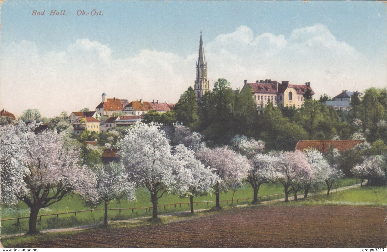 D2048) BAD HALL - Allee Mit Blühenden Bäumen Richtung Häuser U. Kirche - Sehr Alt - Bad Hall