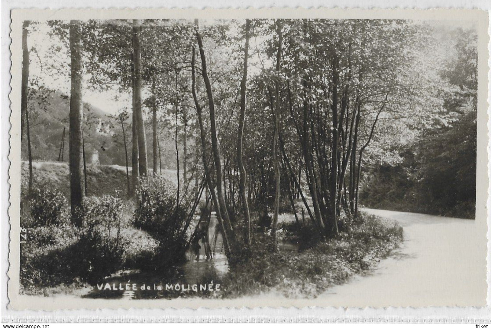 - 3166 - ONHAYE (Anhée , Maredsous Et Environs )  Vallée De La Moulignée , Photo Carte Mosa - Onhaye