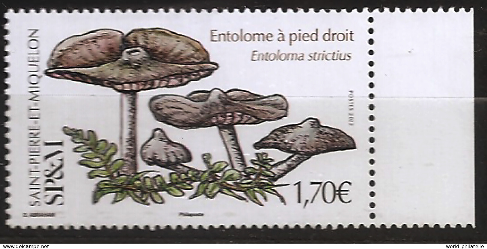 Saint Pierre Et Miquelon 2022 N° 1287 ** Champignons, Champignon, Entolome à Pied Long, Entoloma Strictus, Pinkgills - Unused Stamps