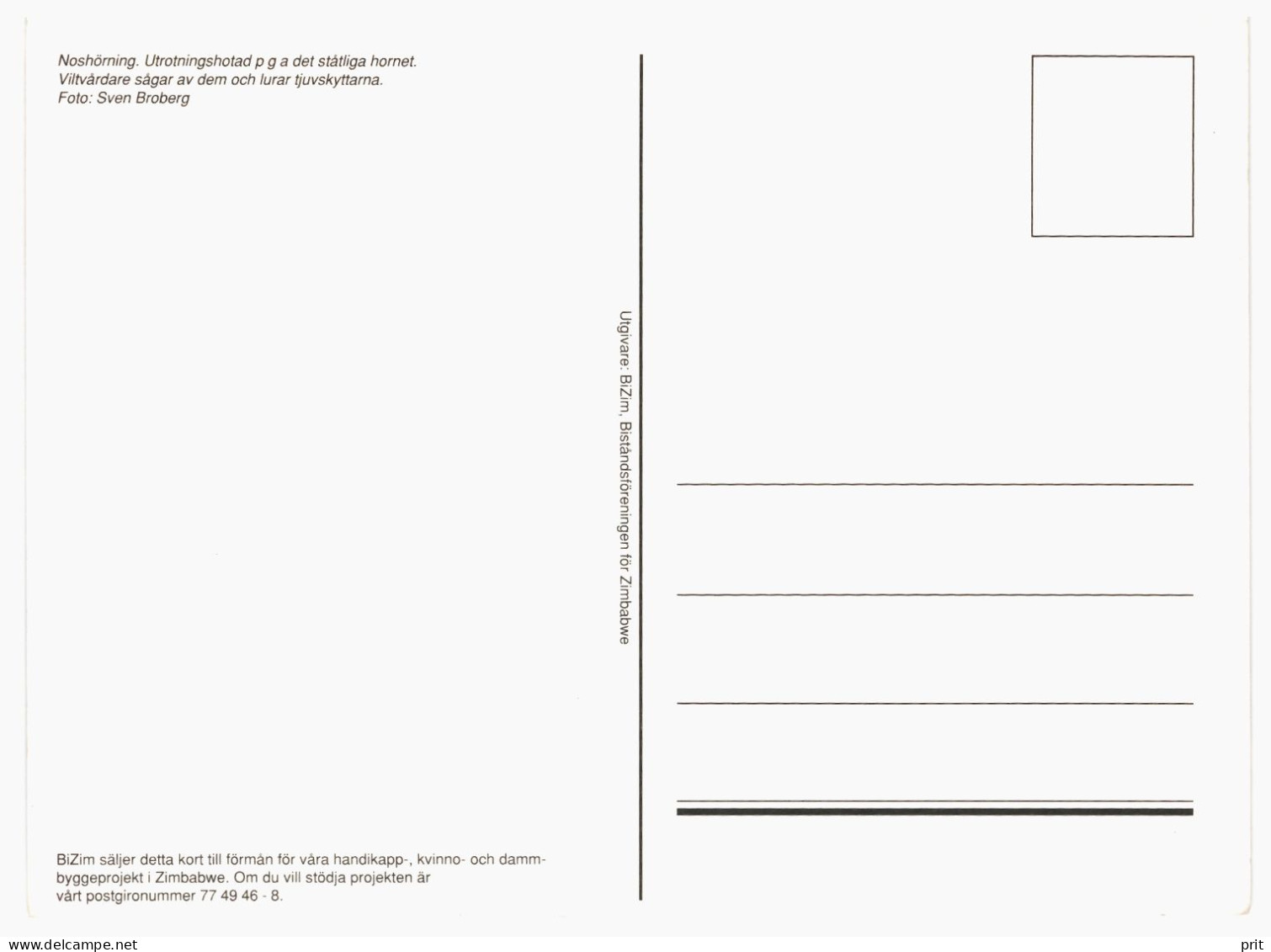 White Rhinocero Unused Postcard. 2000s Publisher BiZim The Zimbabwe Aid Society, Sweden - Rhinozeros