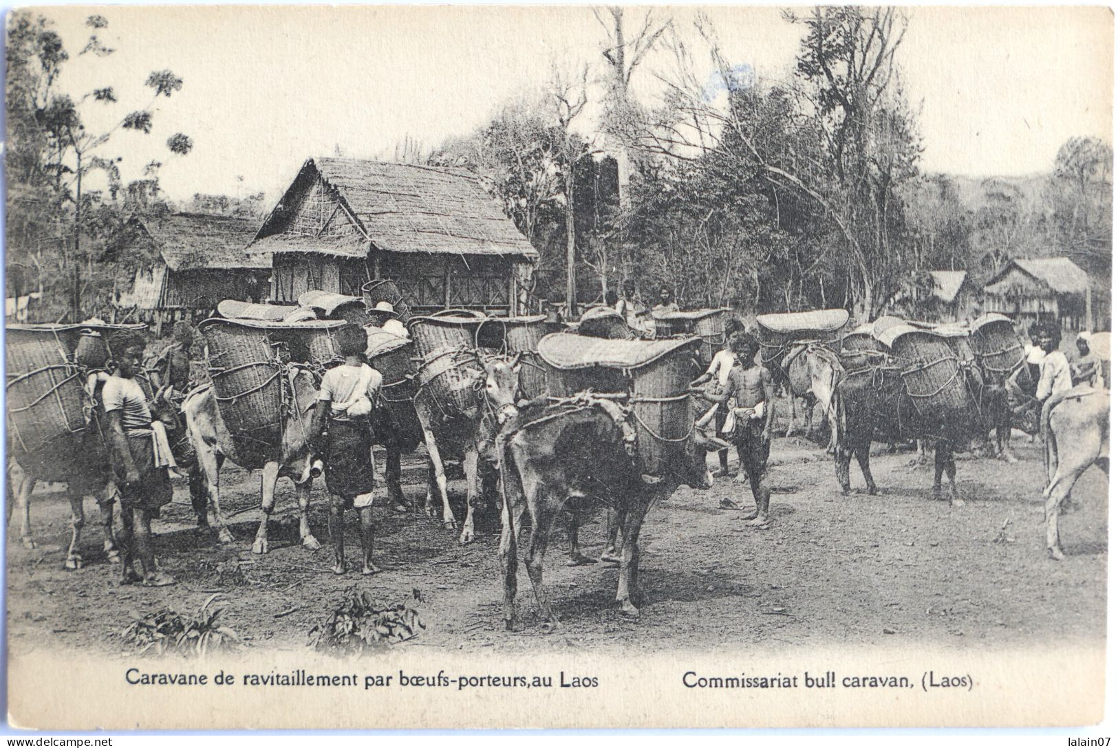 C. P. A. : LAOS : Caravane De Ravitaillement Par Boeufs Porteurs Au Laos - Laos