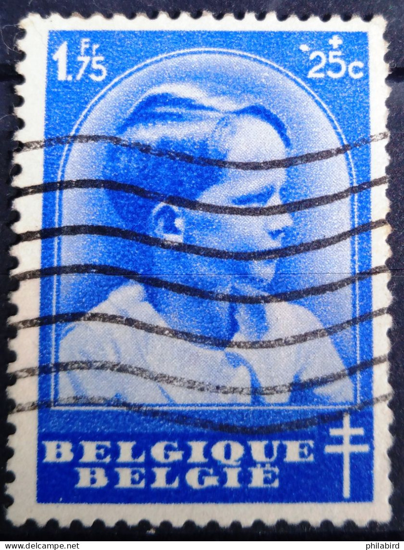 BELGIQUE                    N° 444                      OBLITERE - Oblitérés