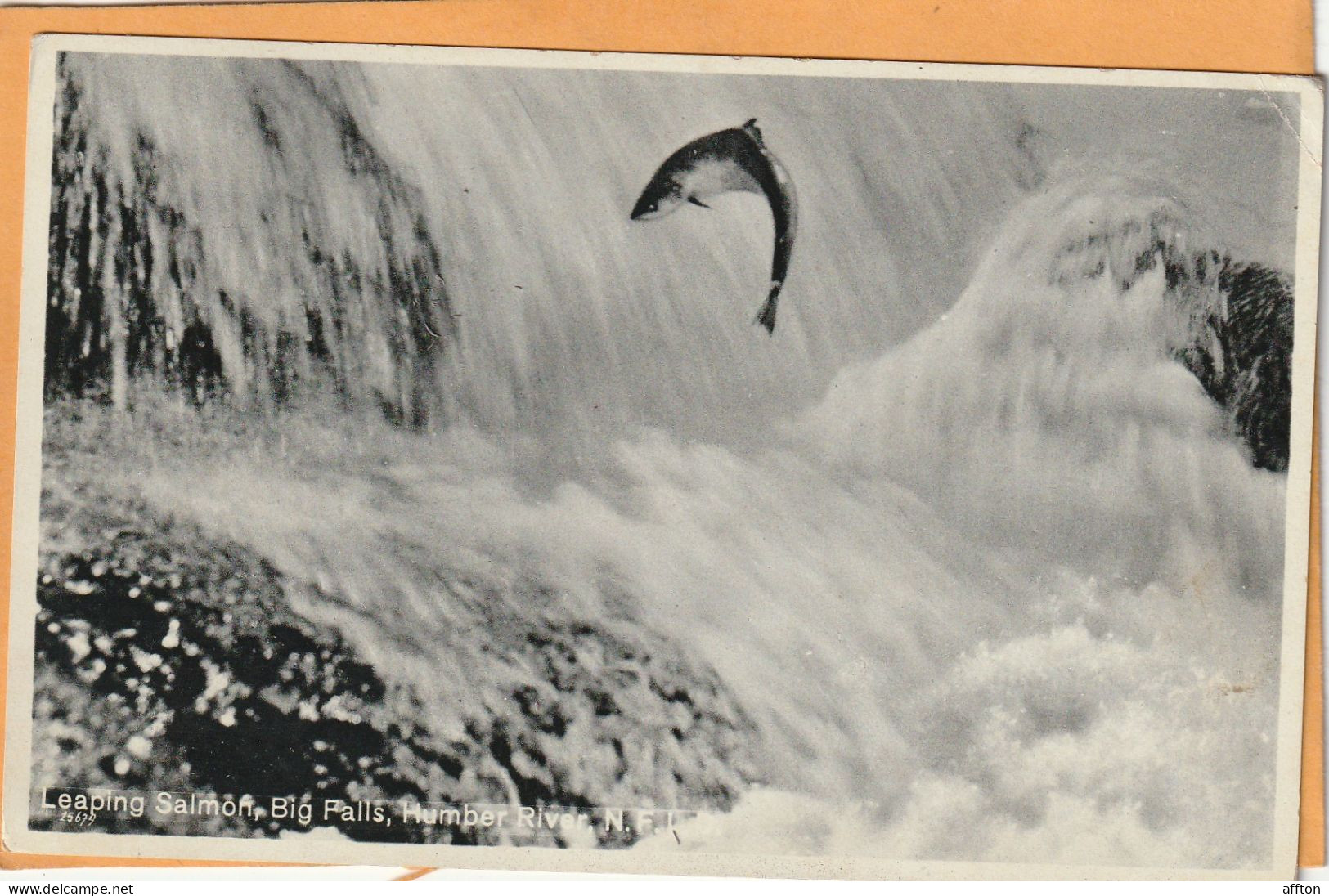 Humber River Newfoundland Canada Old Postcard Mailed - Andere & Zonder Classificatie