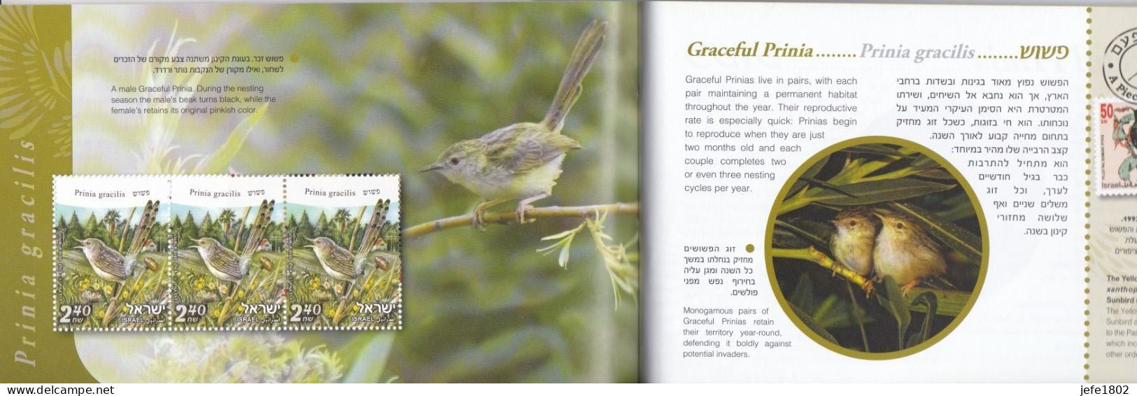 Birds Of Israel - Postzegelboekjes