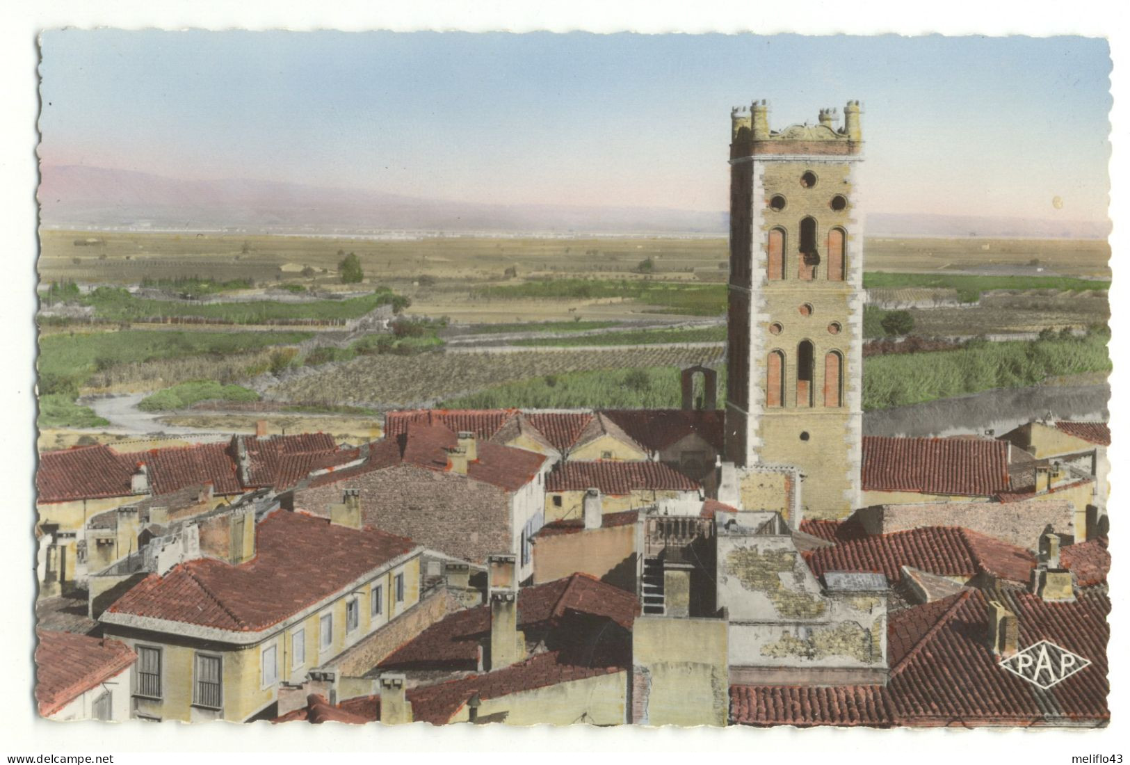 66/ CPSM - Rivesaltes - Ville Natale Maréchal Joffre - Vue Générale - Rivesaltes