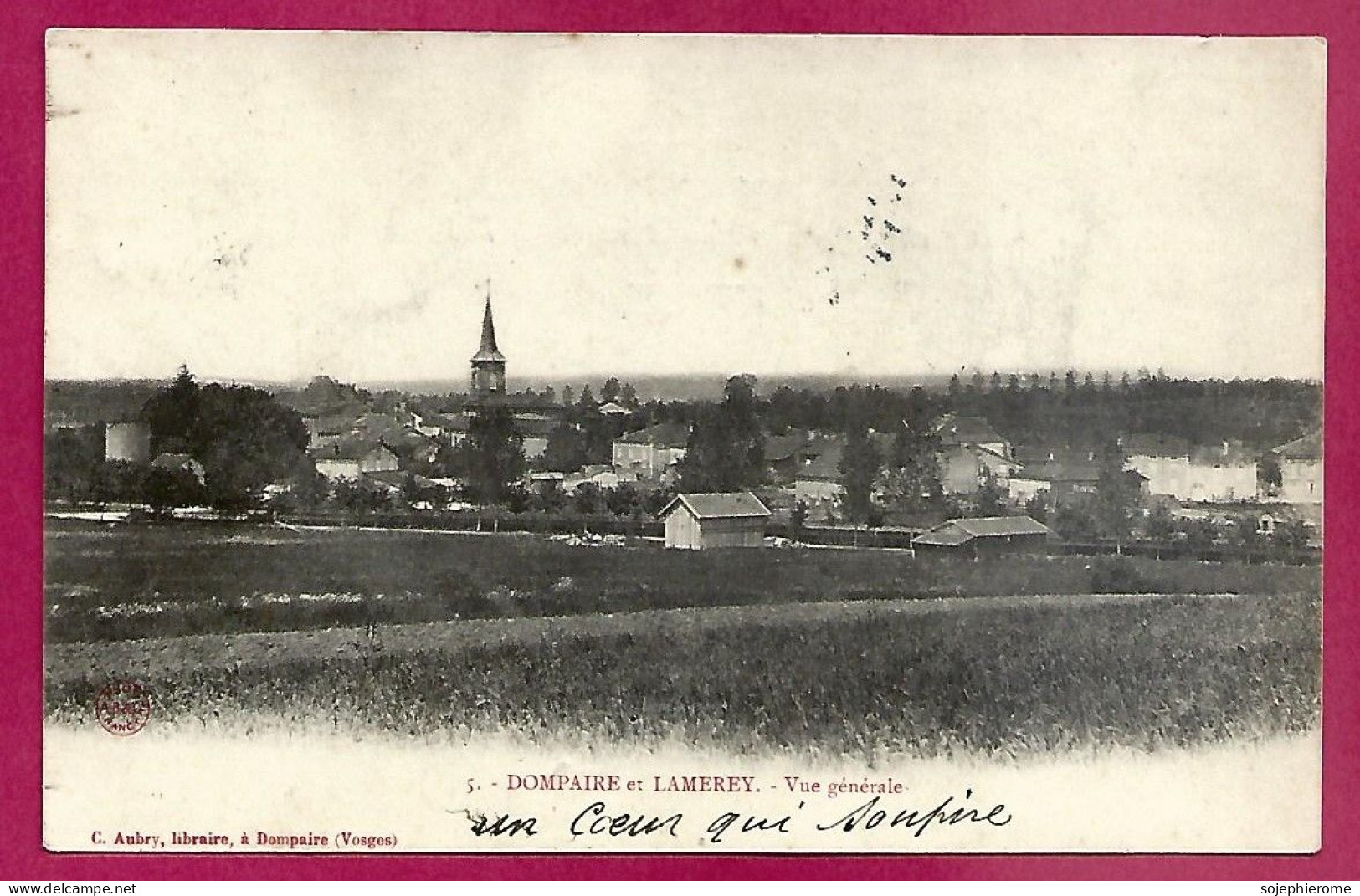 Dompaire Et Lamerey (88) Vue Générale 2scans Dos Simple 25-05-1906 - Dompaire