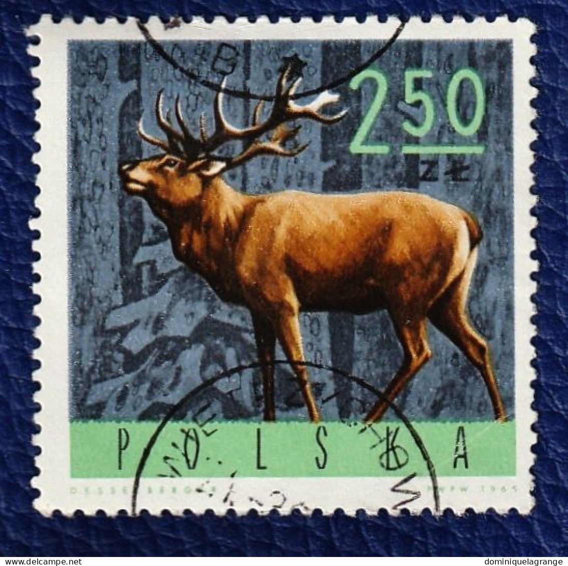 9 Timbres De Pologne "animaux" De 1964 à 1972 - Verzamelingen