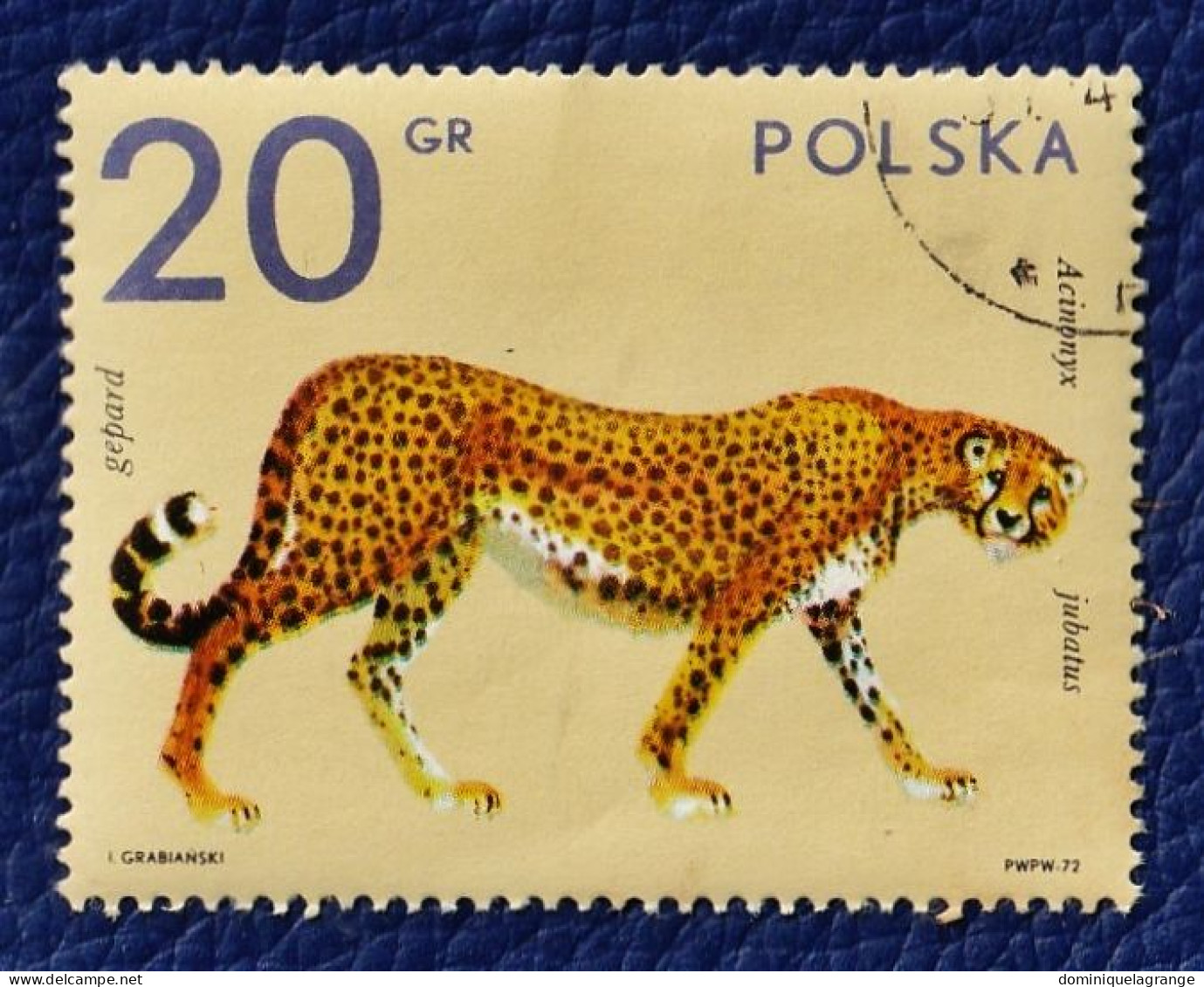 9 timbres de Pologne "animaux" de 1964 à 1972