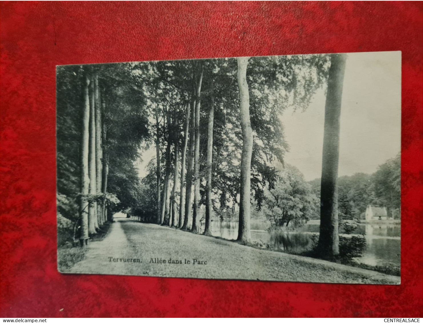 CARTE BELGIQUE TERVUREN TERVUEREN ALLEE DU PARC - Tervuren