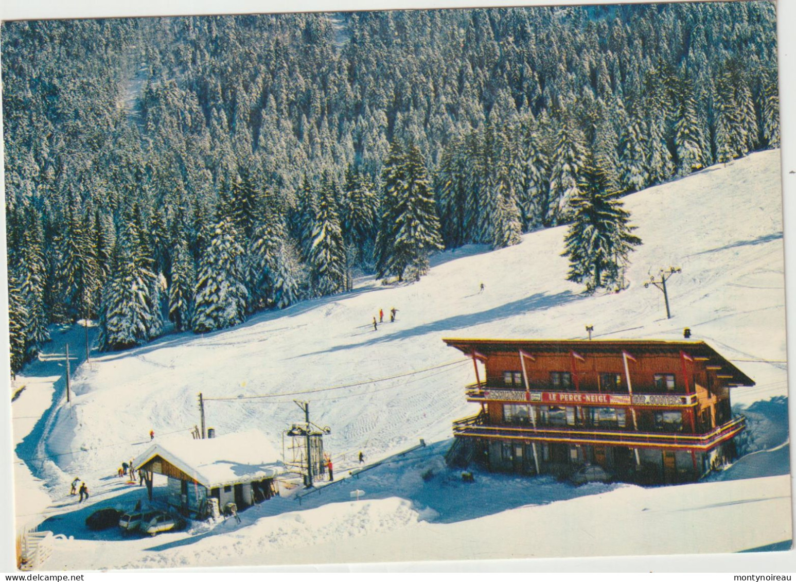 Isère : ST PIERRE D ' ENTREMONT : Le Planolet , Pistes De Skis - Saint-Pierre-d'Entremont