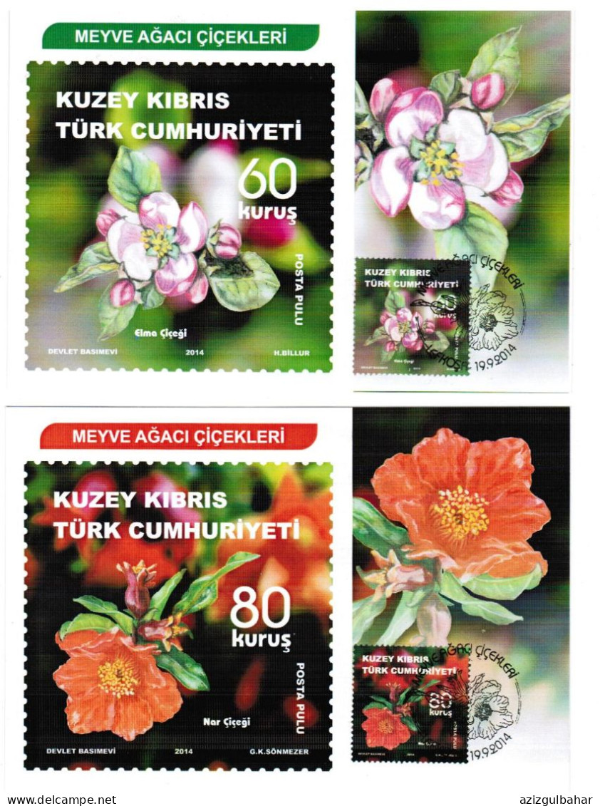 2014 - FRUIT TREE FLOWERS - TURKISH CYPRIOT STAMPS - CARD MAXIMUM - Chypre