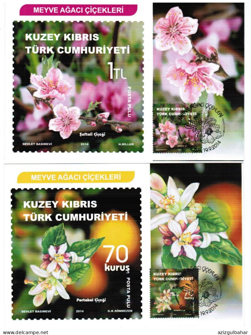 2014 - FRUIT TREE FLOWERS - TURKISH CYPRIOT STAMPS - CARD MAXIMUM - Chypre