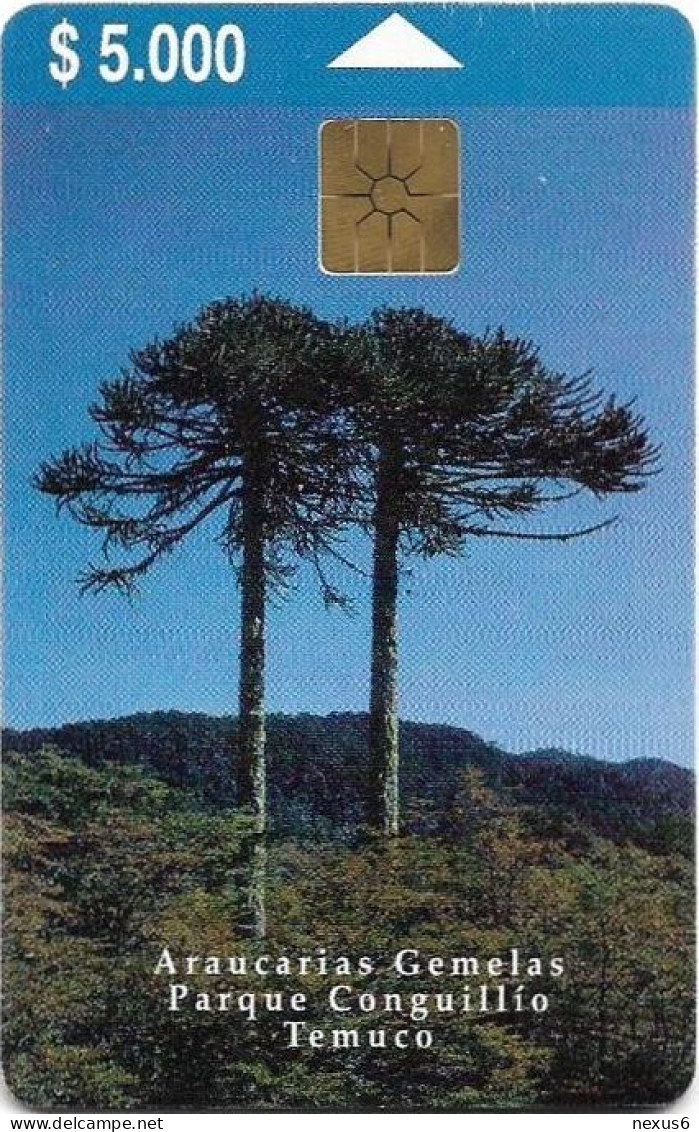 Chile - Telefónica - Araucarias Gemelas Parque (3rd Issue), Gem1B Not Symm.White/Gold, 01.2000, 5.000Cp$, 20.000ex, Used - Chile