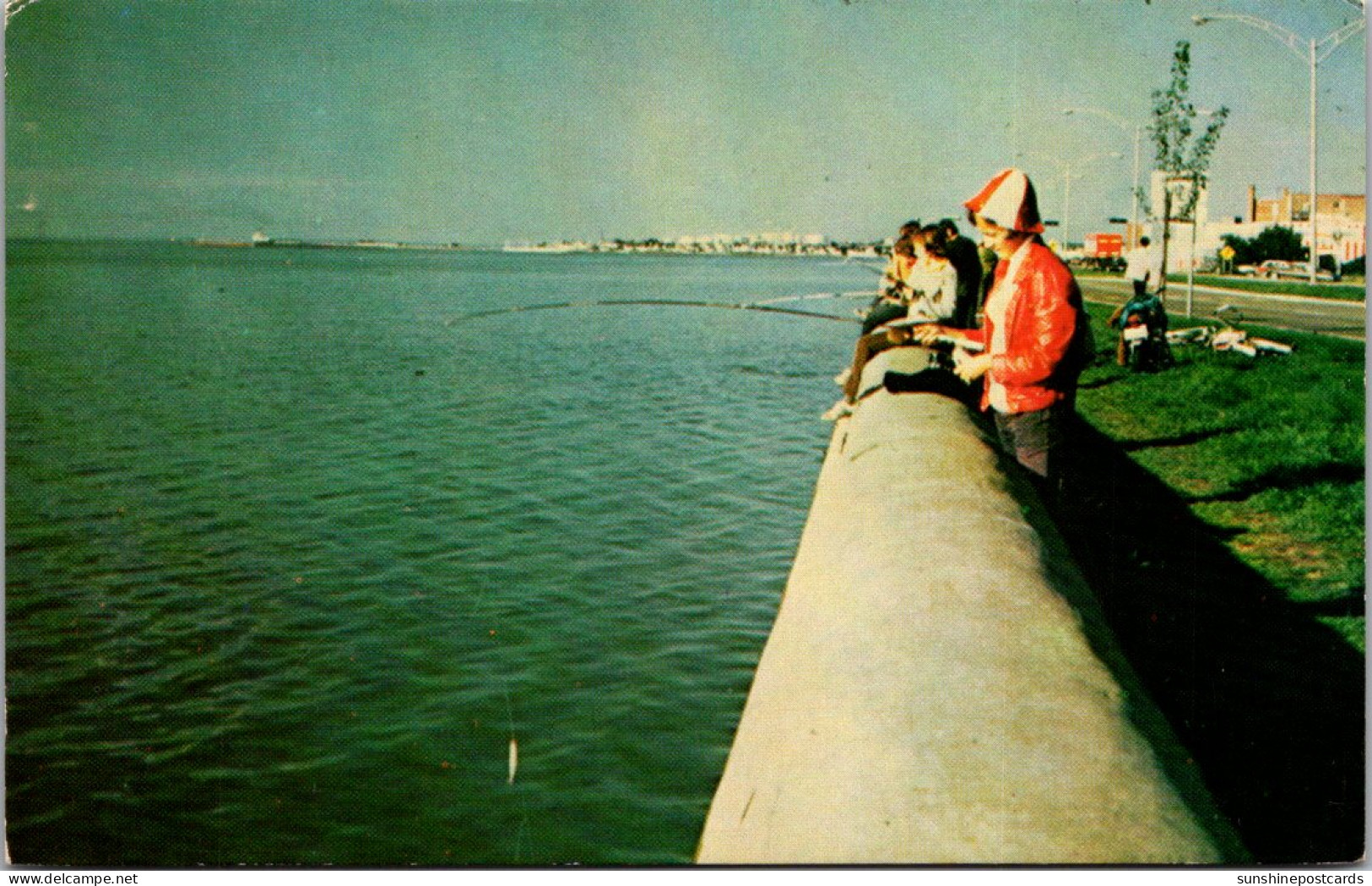 Canada Quebec Rimouski Fishing Scene  - Rimouski