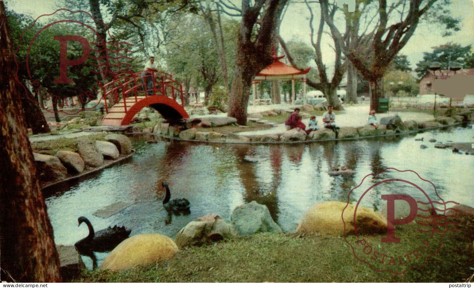 COSTA RICA. JARDIN JAPONES ADYACENTE AL PARQUE MORAZAN. - Costa Rica