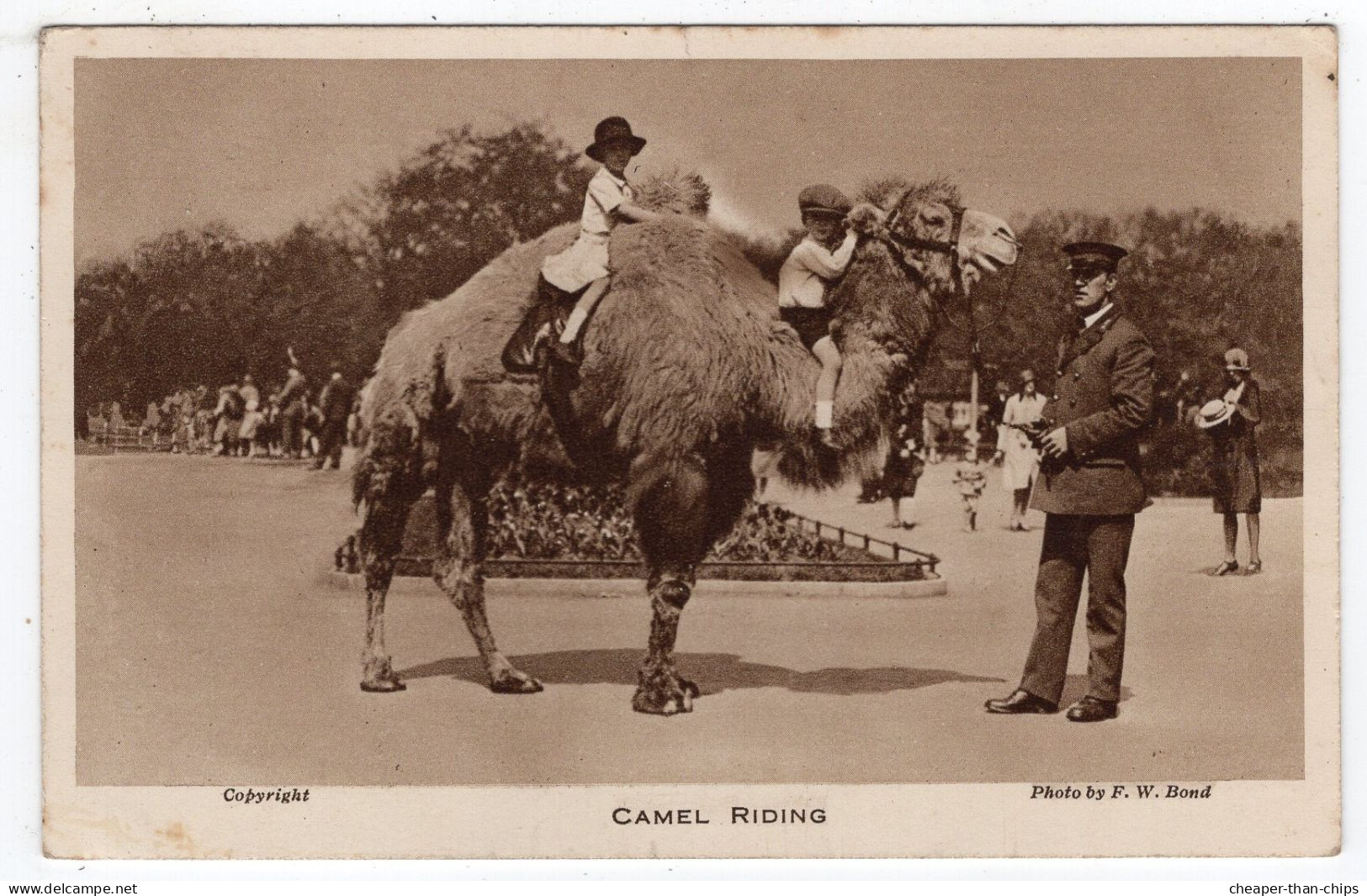 LONDON ZOO - Camel Riding - Photo. F.W. Bond - Nijlpaarden