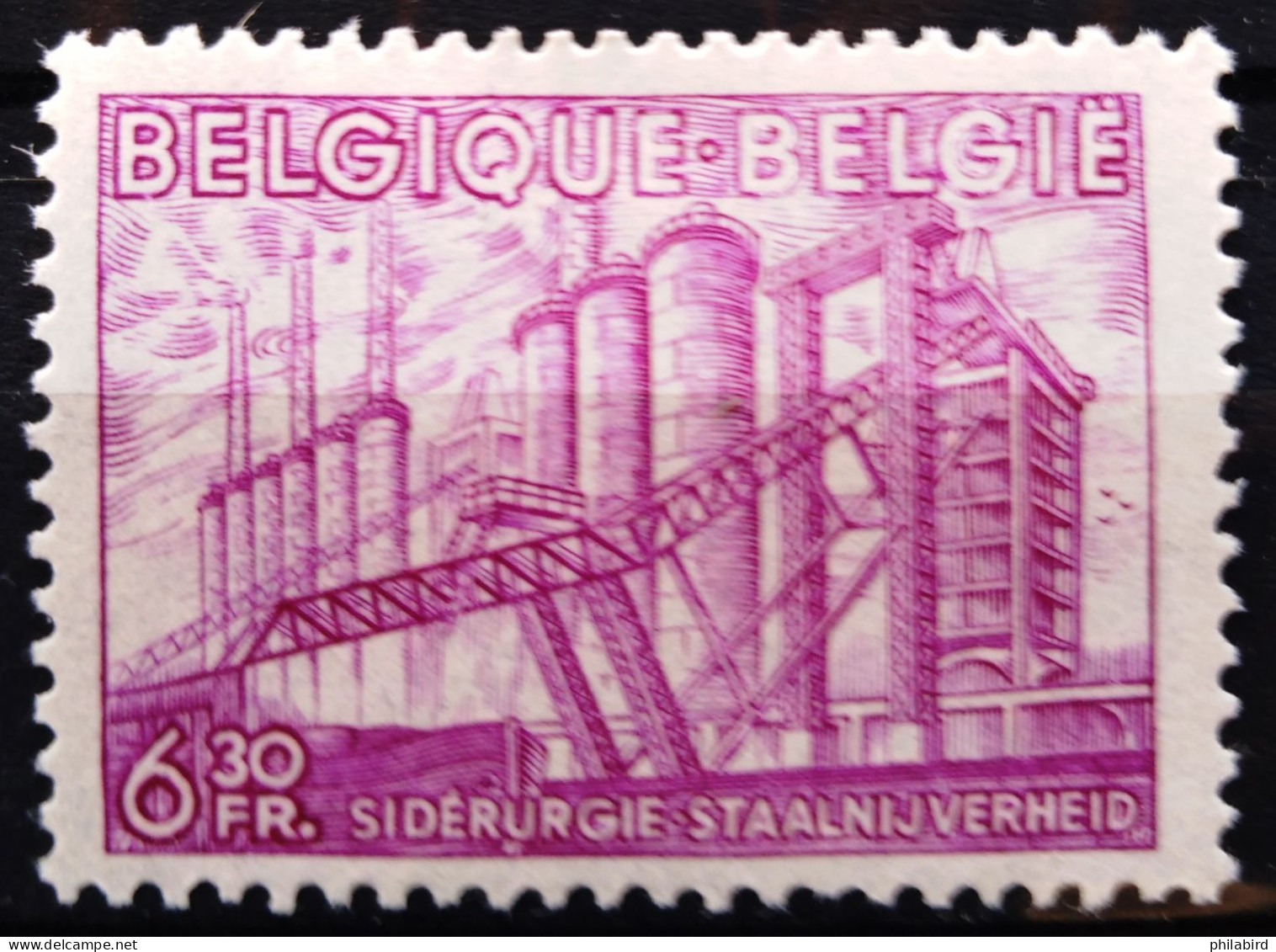 BELGIQUE                    N° 772                 NEUF** - Unused Stamps