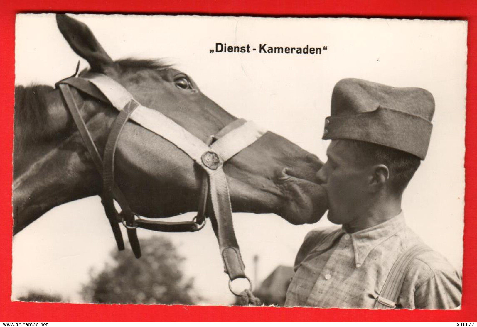 ZWA-45  Militär Militaire Dienst-Kameraden  Dragon Et Son Cheval. Feldpost Aarau   Gross M 59 - Aarau