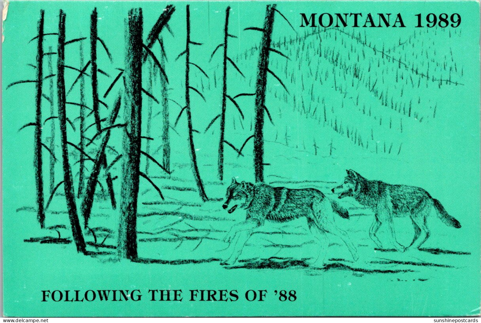 Montana 1989 Fllowing The Fires Bring Back The Wolves - Other & Unclassified
