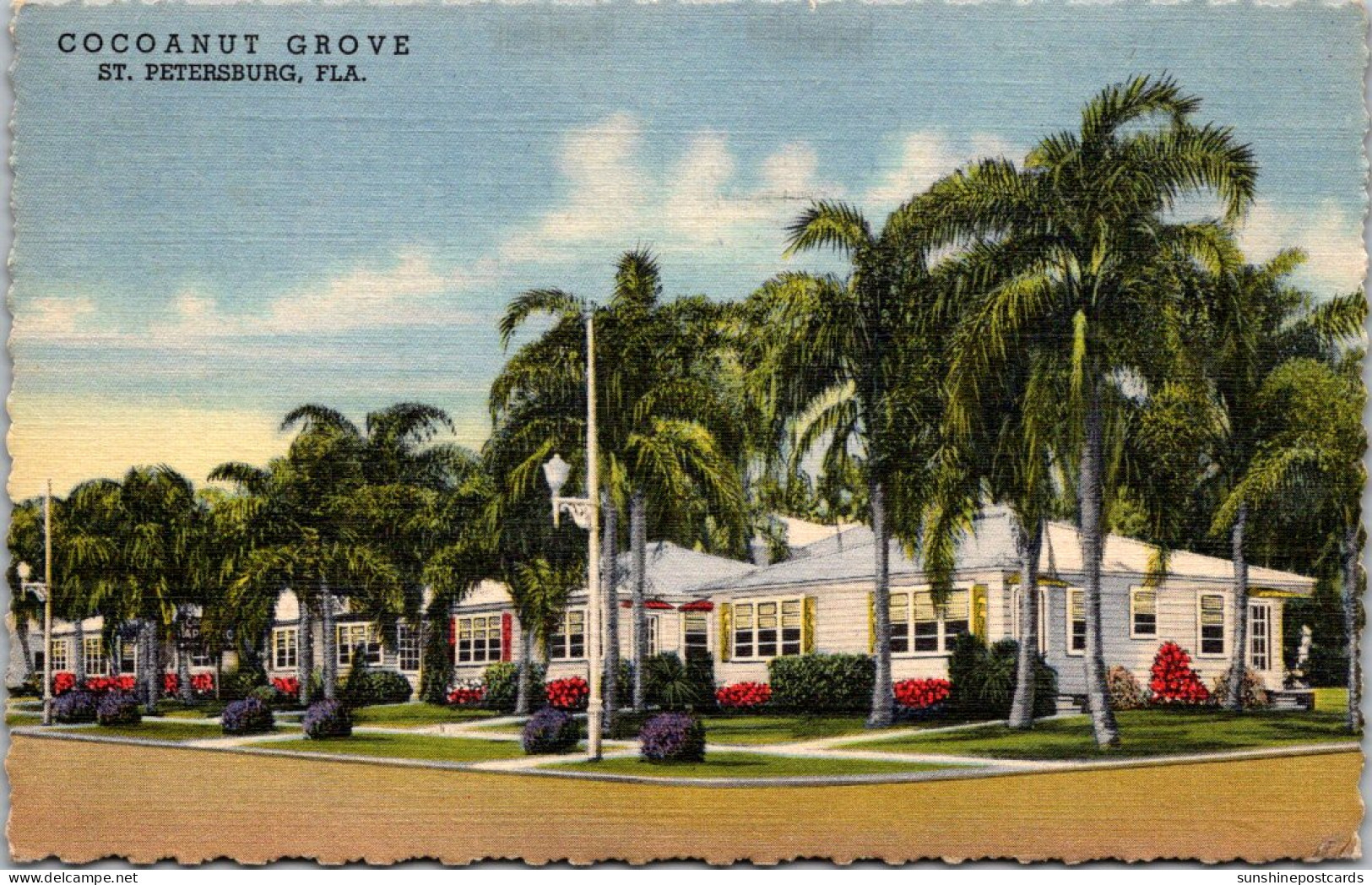 Florida St Petersburg Cocoanut Grove Motor Hotel 1947 Curteich - St Petersburg