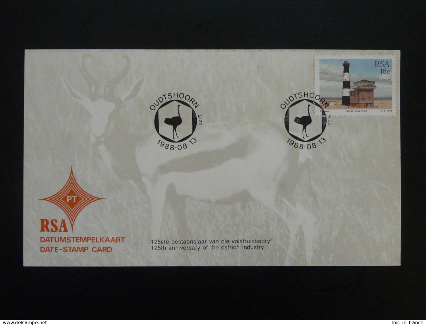 Oblitération Postmark Autruche Ostrich Afrique Du Sud South Africa 1988 - Autruches