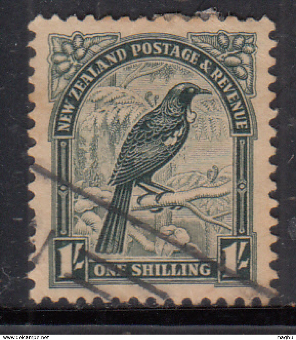 1s Used 1936 Parson Bird New Zealand, Wmk Multi.  - Used Stamps