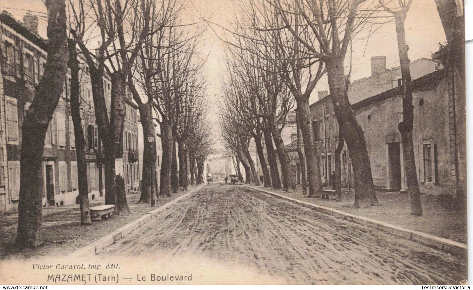 FRANCE - Mazamet (Tarn) - Le Boulevard - Victor Carayol - Arbres - Carte Postale Ancienne - Mazamet