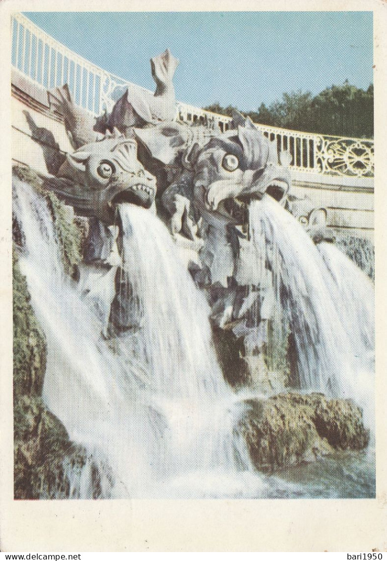 CASERTA - Parco Reale - Fontana Dei Delfini - Caserta