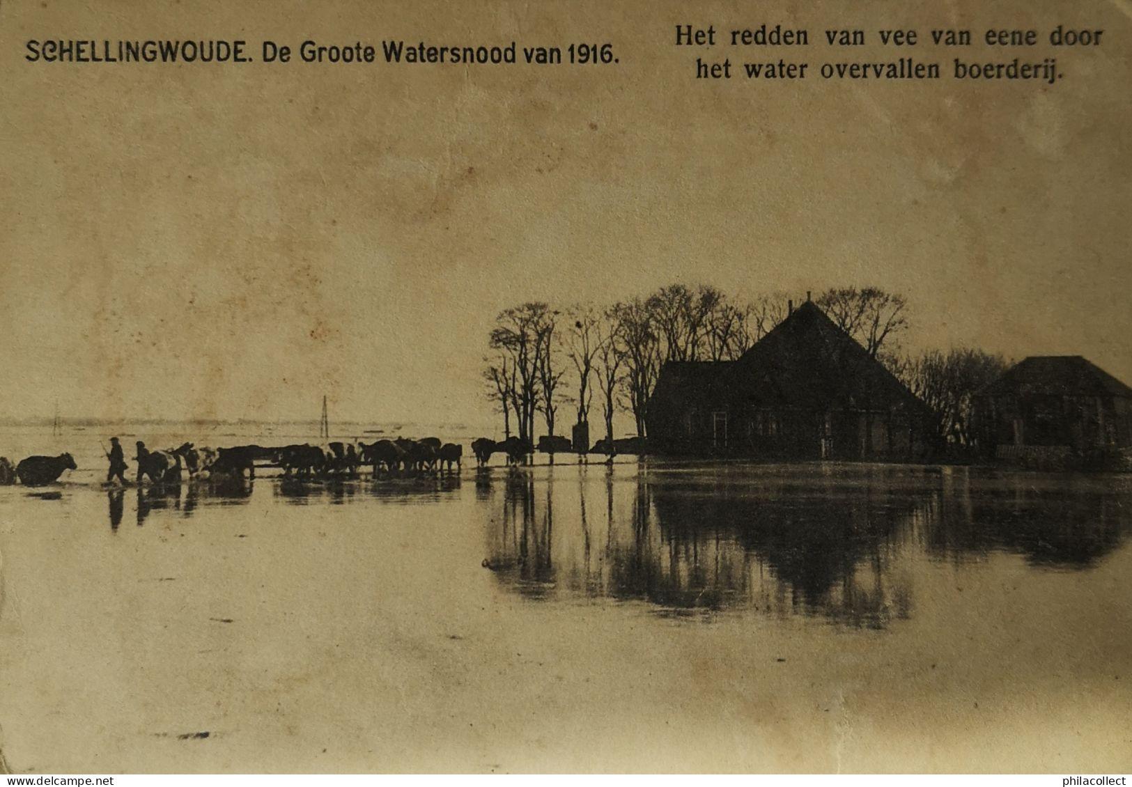 Schellingswoude Bij Amsterdam // Watersnood Van 1916 19?? Vlekkig - Amsterdam