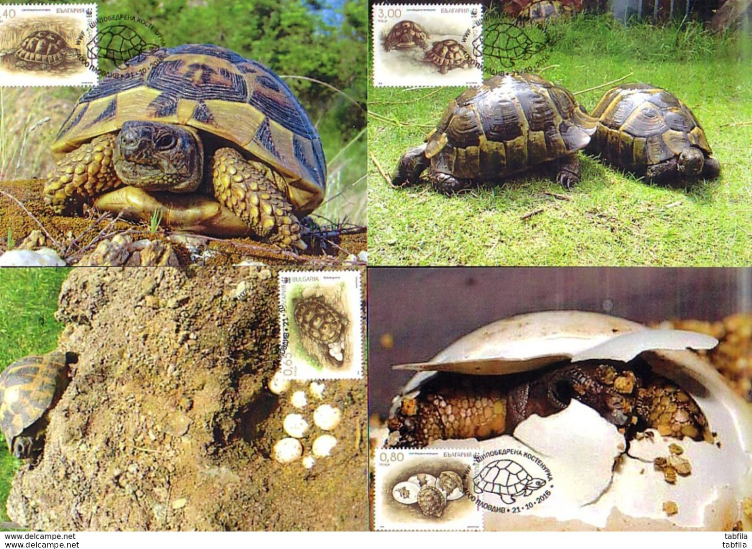 BULGARIA / BULGARIE - 2016 - WWF - Fauna - Tortues / Turtes -  4 MC - Altri & Non Classificati