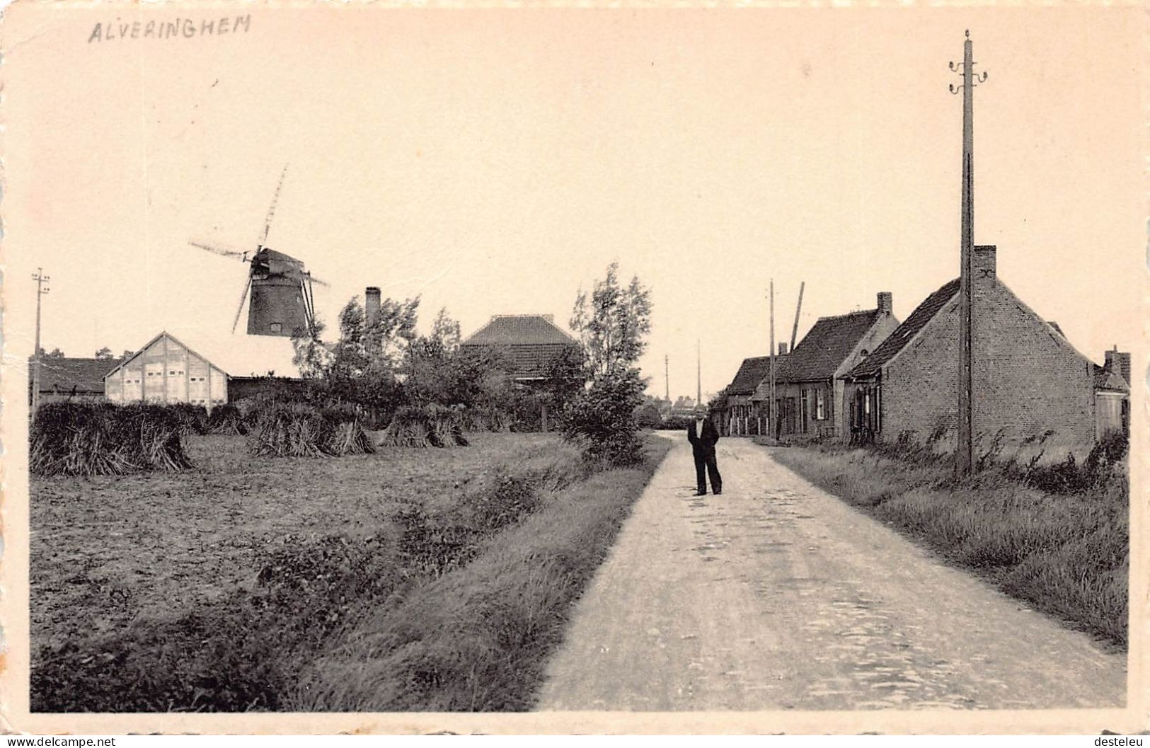 Lindemolenhoek - Alveringem - Alveringem