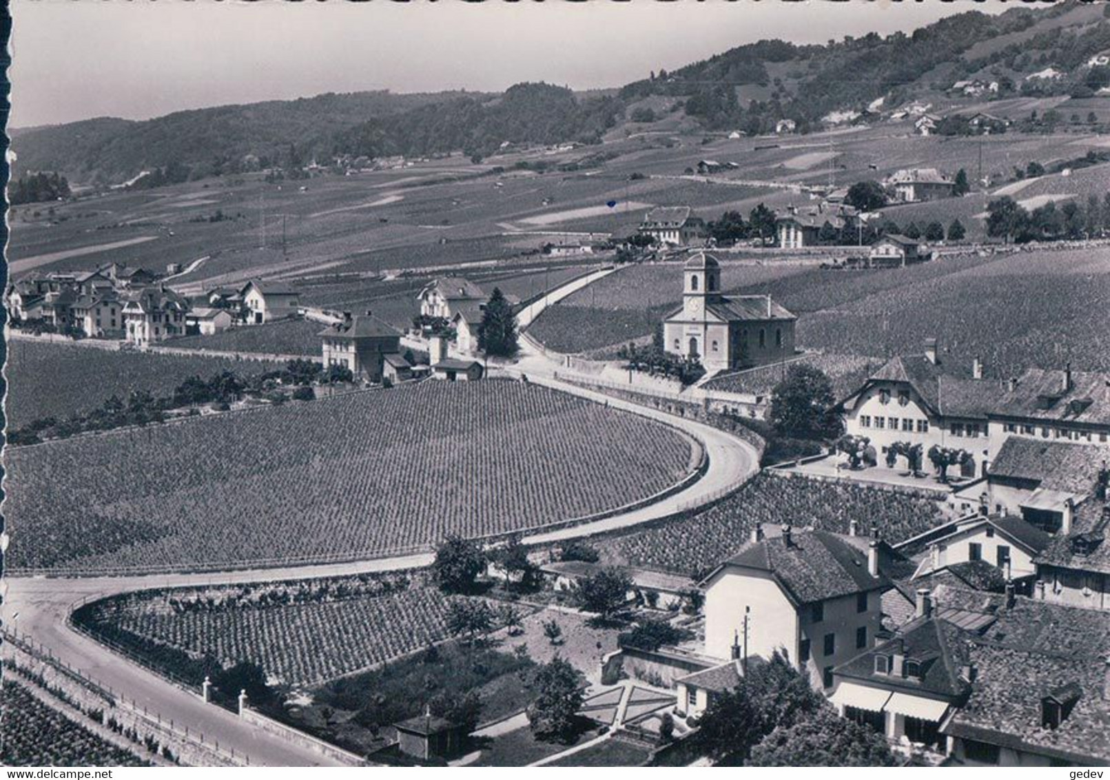 Mont Sur Rolle VD, Village Et Vigne Vu D'avion (1306) 10x15 - Rolle