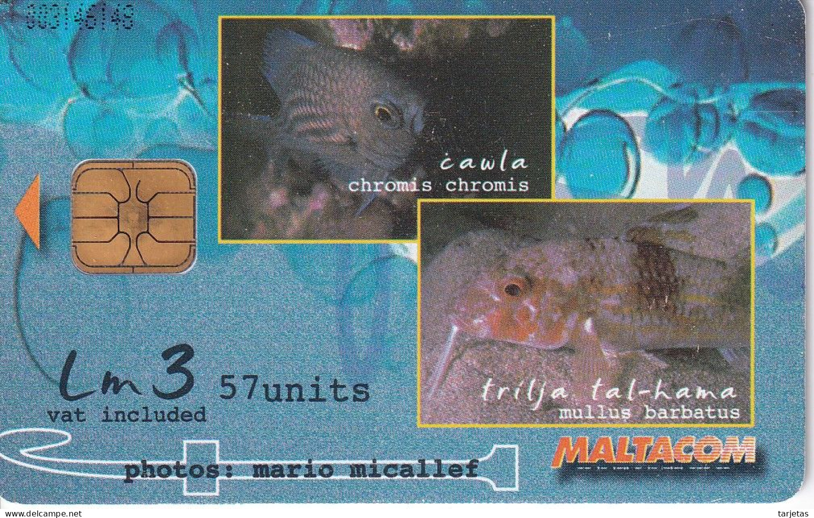 Nº231  TARJETA DE MALTA  DE UNOS PECES (FISH-PEZ) - Malta