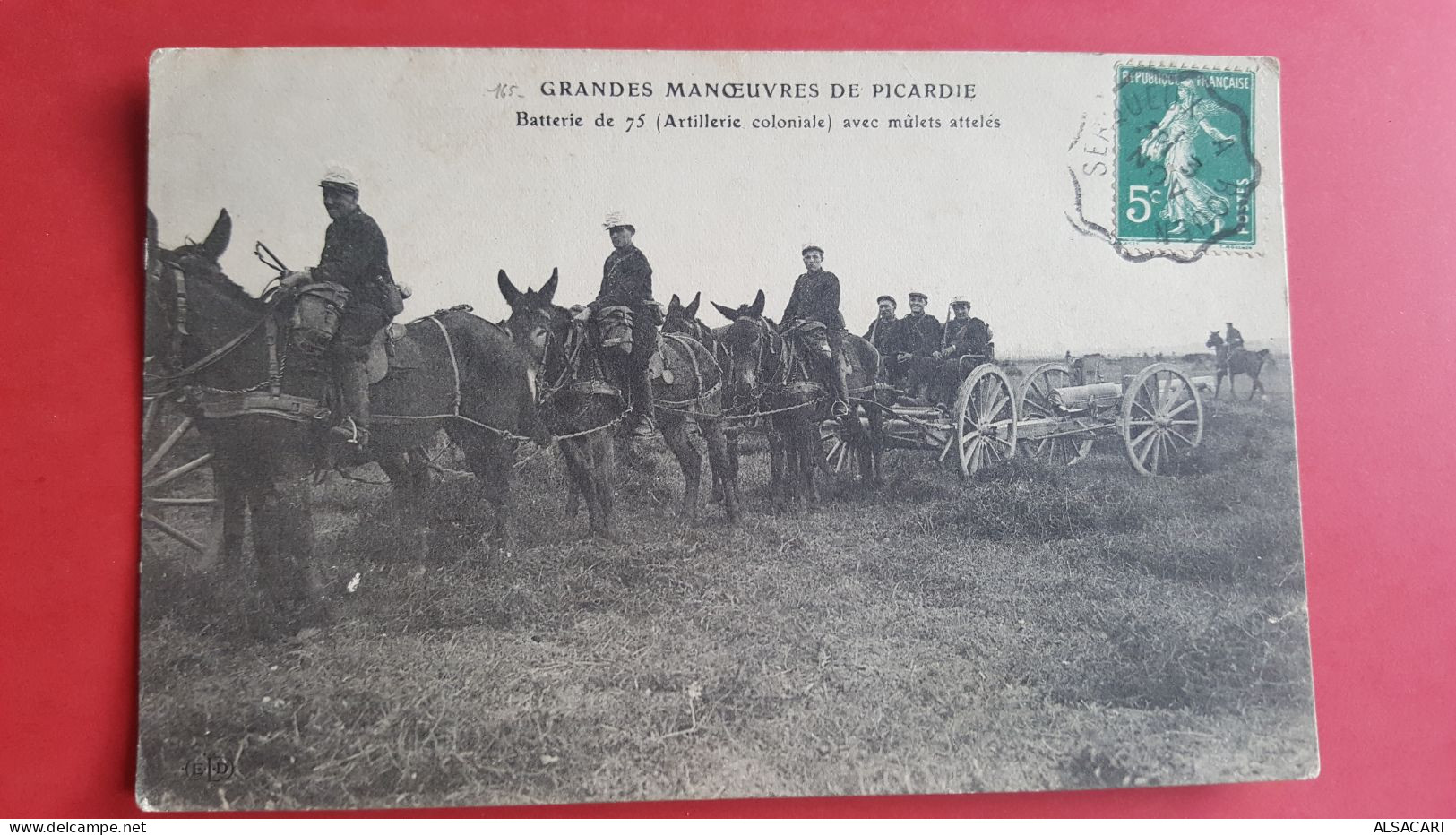 Grande Manoeuvres De Picardie , Batterie De 75 , Mulets Attelés - Ausrüstung